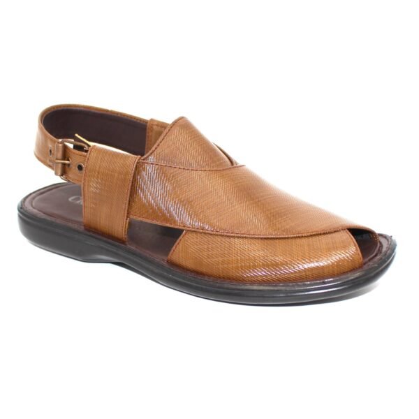 3008566 - Men's Peshawari Chappal
